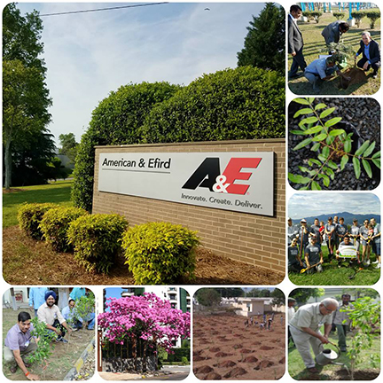 a&e sustainability